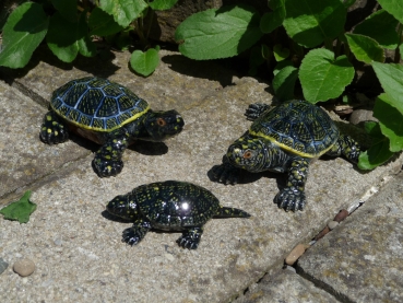 Europäische Sumpfschildkröten Familie drei Figuren