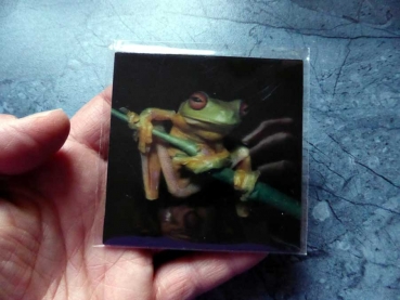 Magnetic Tree Frog - Gruppe M - Laubfrosch auf Zweig 3D Magnet