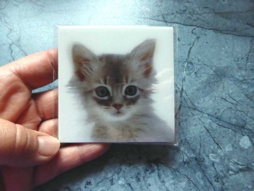 Magnetic Kitten - Gruppe M - Kleine Katze Magnet 3D