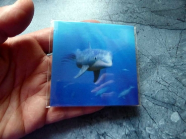 Magnetic Dolphin - Gruppe M - Schwimmender Delphin Magnet 3D