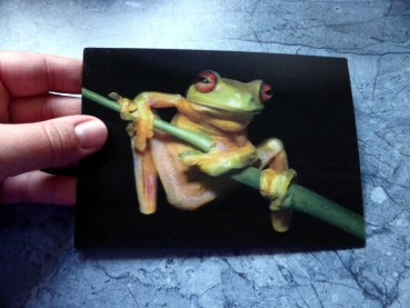 Red Eye Tree Frog - Gruppe B - Laubfrosch Postkarte 3 D