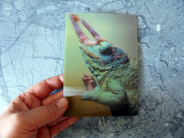 Courage - Gruppe B - Mutig Chameleon mit Marienkäfer Postkarte 3D