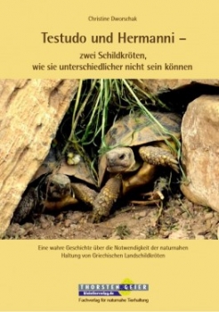 Testudo und Hermanni zwei Schildkröten, wie sie unterschiedlicher nicht sein können