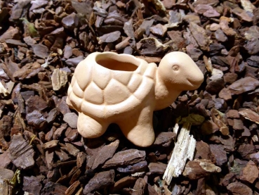 Keramik Natur-Tonschildkröte als Kerzenständer oder für Tillandsien