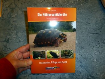 Die Köhlerschildkröte Chelonoidis carbonarius, Buch von Ralf Czybulinski