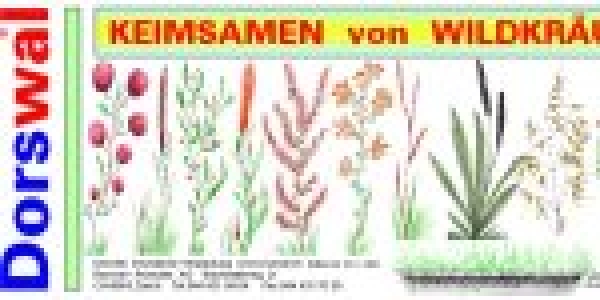 Keimsamen von Wildkräutern 5000g