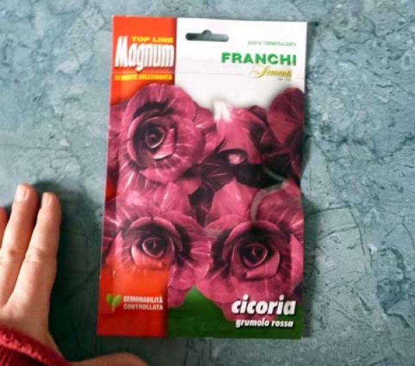 D40/72 Franchi Cicoria Grumolo Rossa 12g Saatgut