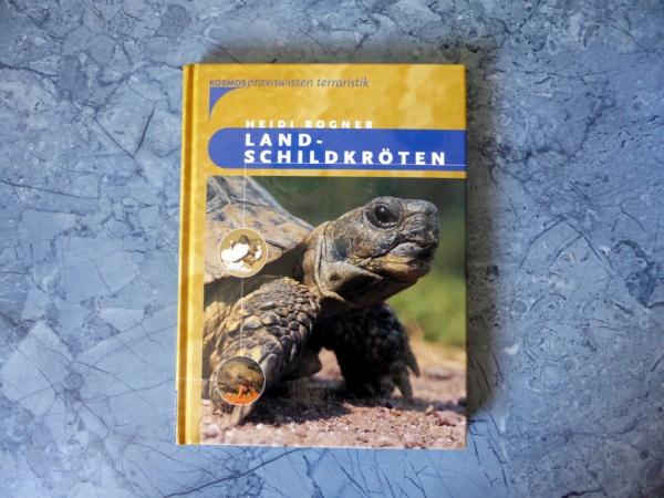 Landschildkröten - Heidi Rogner