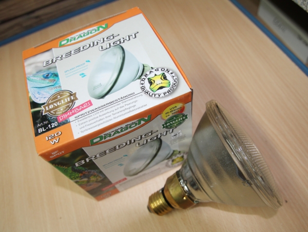 Dragon Wärmestrahler PAR38 Breeding Light 120 Watt, E27