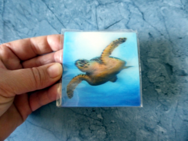 Magnetic Sea Turtle - Gruppe M - Meeresschildkröte 3D Magnet