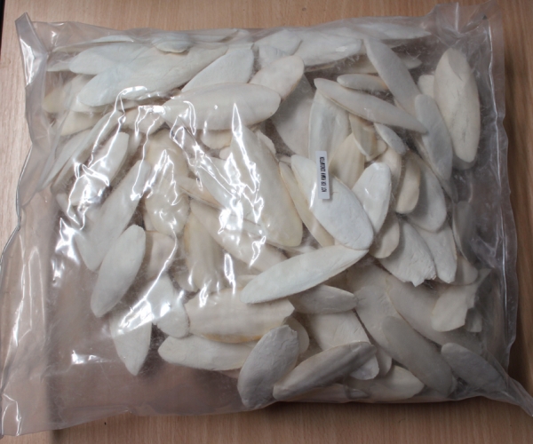 Sepiaschalen Mini Sepiaschalen 1kg Ware