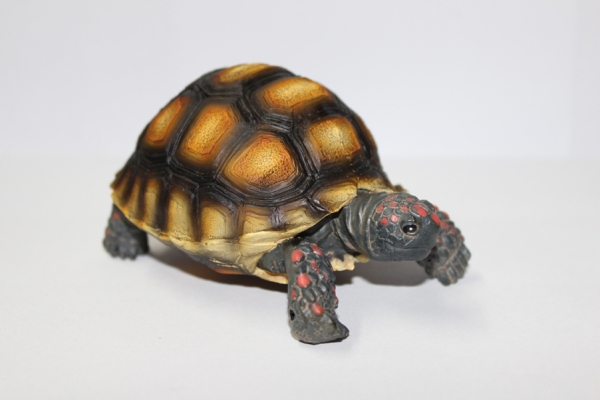 Schildkröten Figur "Köhlerschildkröten Jungtier"