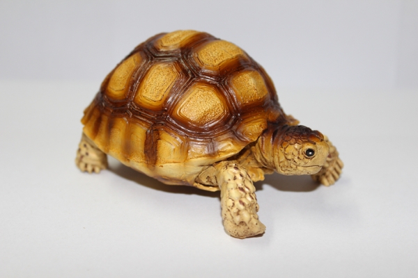 Schildkröten Figur "Junge Spornschildkröte" Afrika