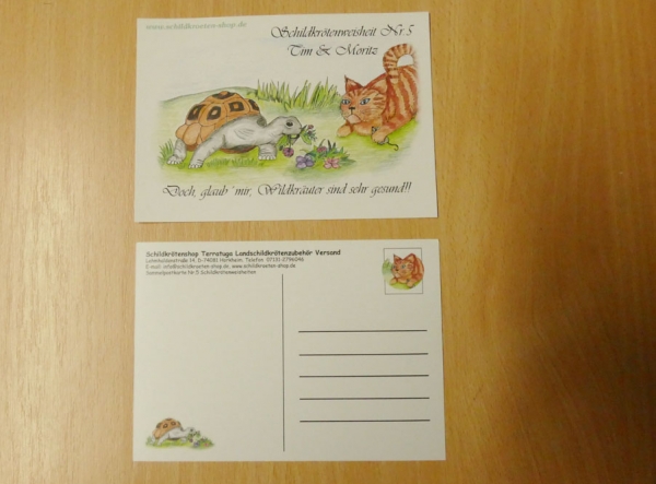 Sammelpostkarte Schildkrötenweisheit Nr. 5