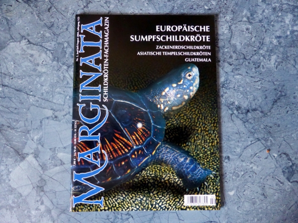 Marginata Nr. 2 - Europäische Sumpfschildkröte