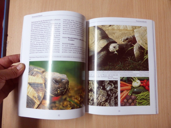 Ernährung von Landschildkröten Carolin Dennert