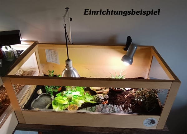 Terratuga Aufzucht Landschildkröten Terrarium Größe ca.100x50x40 cm