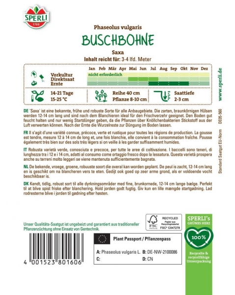 Buschbohnensamen Saxa - Phaseolus vulgaris
