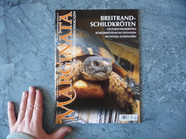 Marginata 1 - Breitrandschildkröten