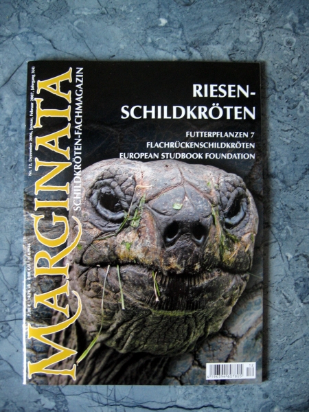 Marginata 12 - Riesenschildkröten