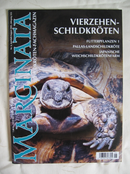 Marginata 6 - Vierzehenschildkröten