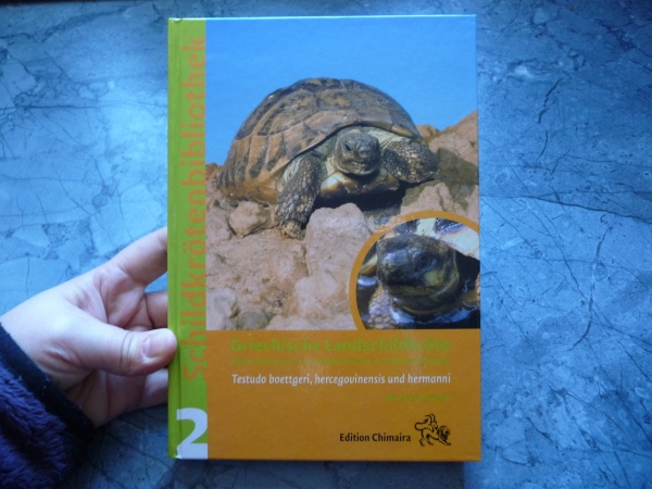 Griechische Landschildkröte (Testudo hermanni) H. Vetter