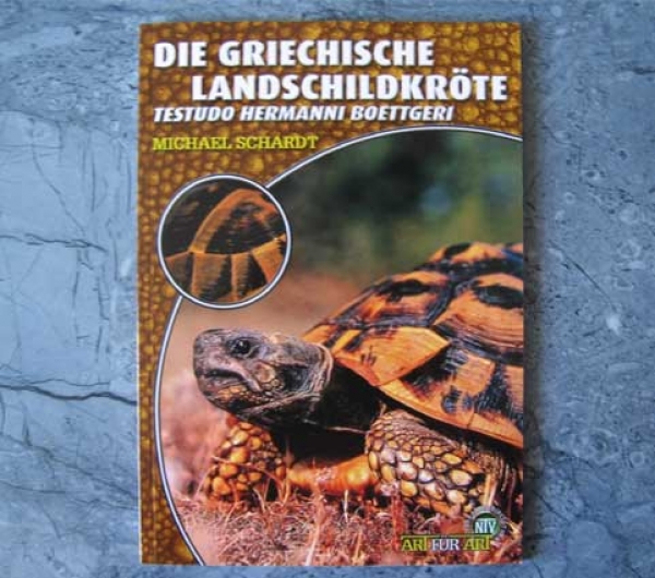 Die Griechische Landschildkröte Testudo hermanni boetgerie