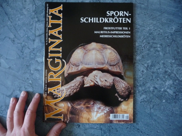 Marginata 16 - Spornschildkröte