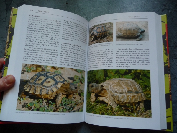 Südamerikanische Landschildkröten Holger Vetter