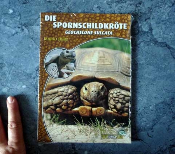 Die Spornschildkröte Geochelone sulcata NTV-Buch