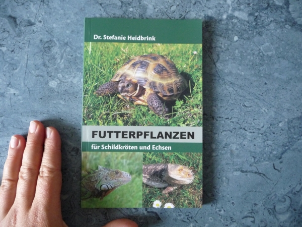 Futterpflanzen für Schildkröten und Echsen