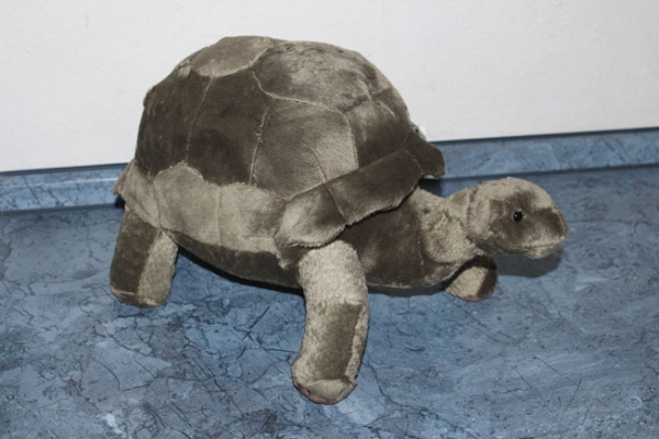 Plüsch MEGA Riesenschildkröte Grau 40x25cm