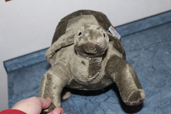 Plüsch MEGA Riesenschildkröte Grau 40x25cm