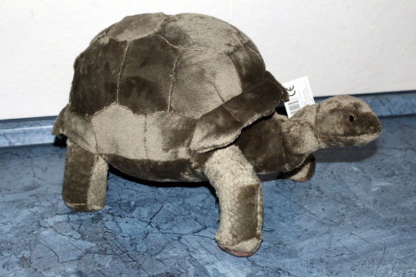 Plüsch MEGA Riesenschildkröte Grau 40x25cm