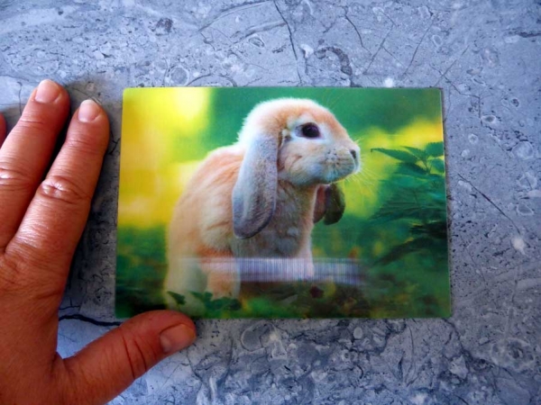 Long Ears - Gruppe B - Lange Ohren Hase auf der Wiese Postkarte 3D