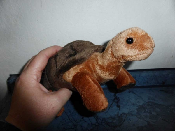 Kleine Plüschschildkröte "Galapagos Baby" hellbraun