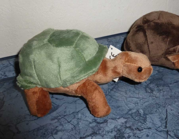 Kleine Plüschschildkröte "Galapagos Baby" hellgrün