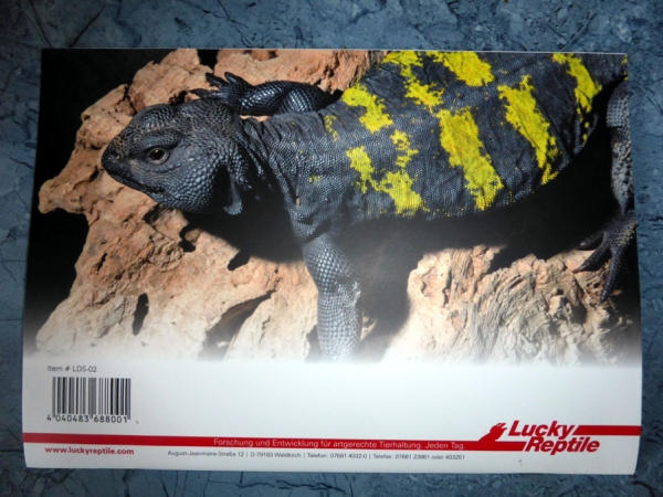 Lucky Reptile Nachweisbuch "Artenschutz" für alle die Nachzuchten haben