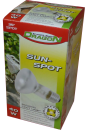 DRAGON Sun-Spot 40 Watt - SPOT 35° Basking Spot Lamp