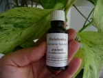 Australisches "Melaleuka in Jojoba" 20ml