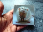 Magnetic Rat - Gruppe M - Magnetbild Ratte mit Stofftier 3D
